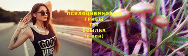 дурь Новодвинск
