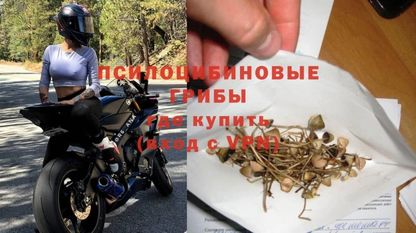 герыч Новозыбков