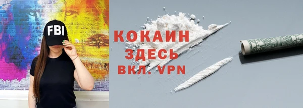 дурь Новодвинск