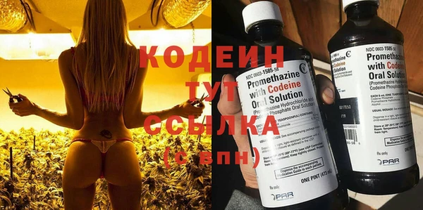 дурь Новодвинск