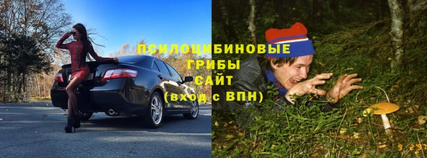дурь Новодвинск