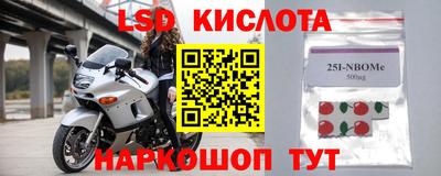 эйфоретик Кингисепп