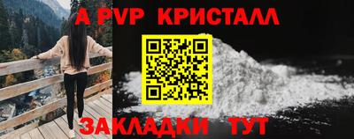 эйфоретик Кингисепп