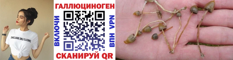 как найти наркотики  Москва  Псилоцибиновые грибы мицелий 