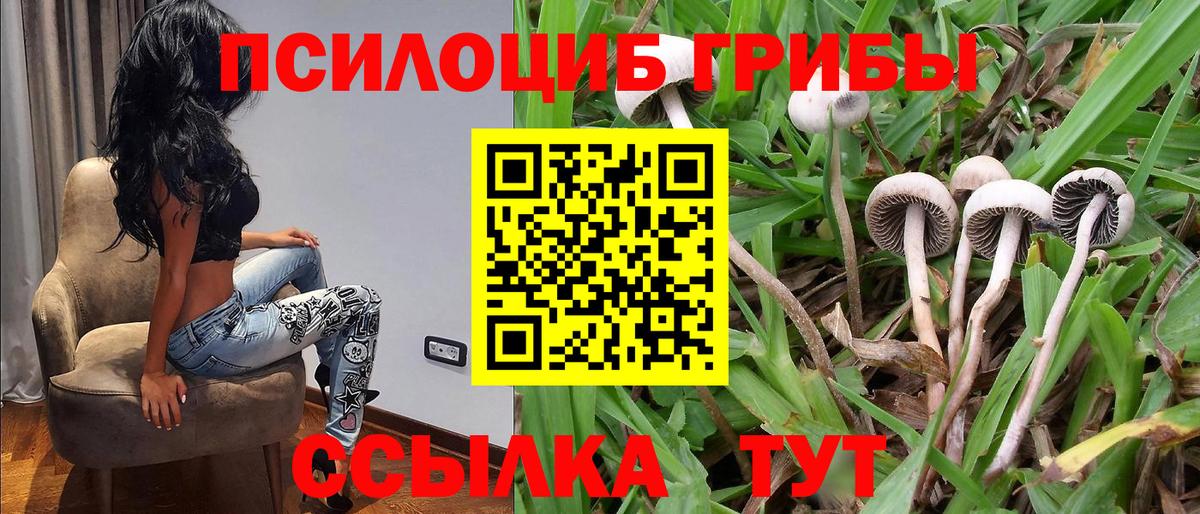 Псилоцибиновые грибы прущие грибы  Вход с VPN  купить закладку  Москва  Галлюциногенные грибы ЛСД 