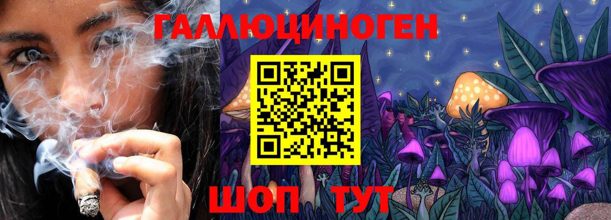 Псилоцибиновые грибы GOLDEN TEACHER Москва